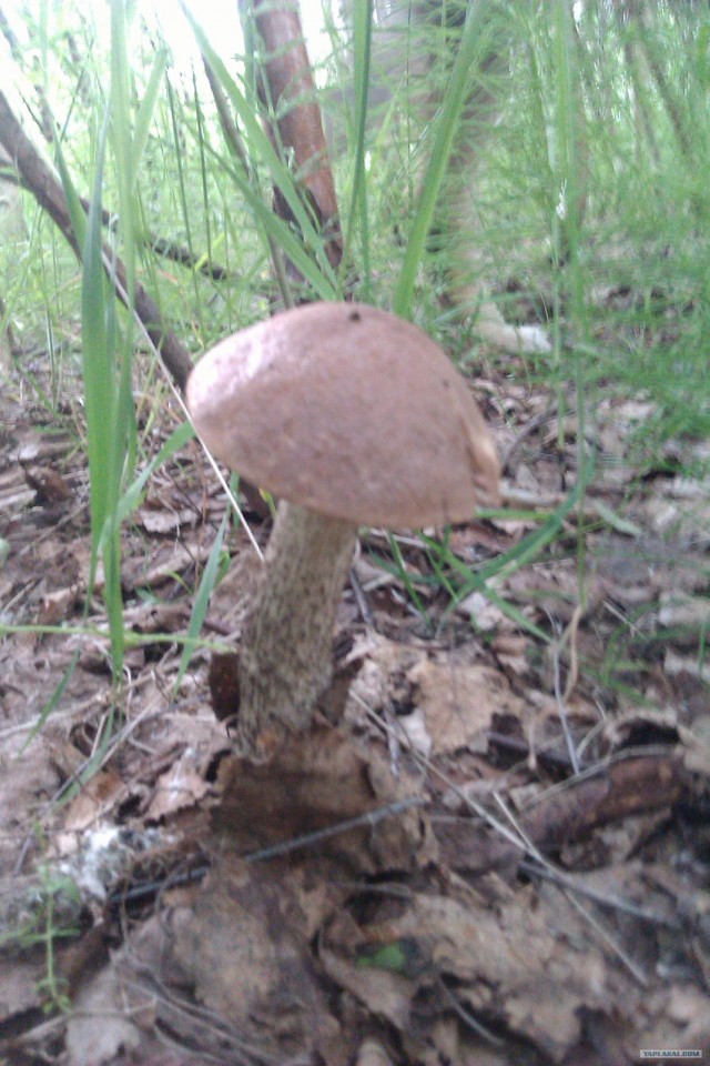 Просто выходные...