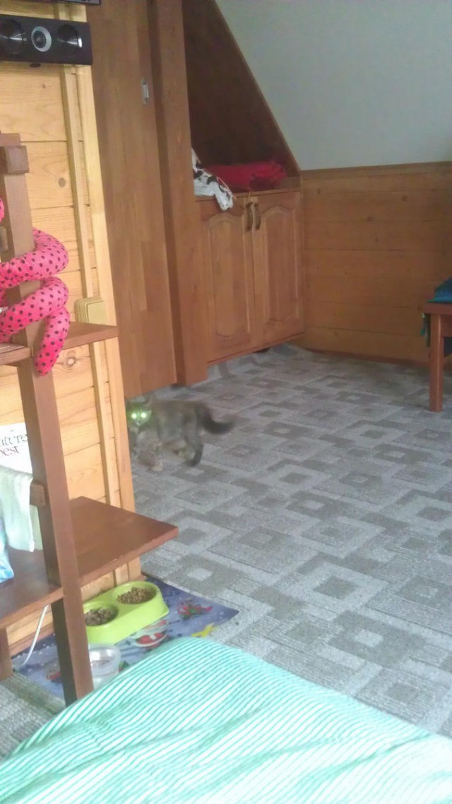 Про Тучку, которая стала Дымкой