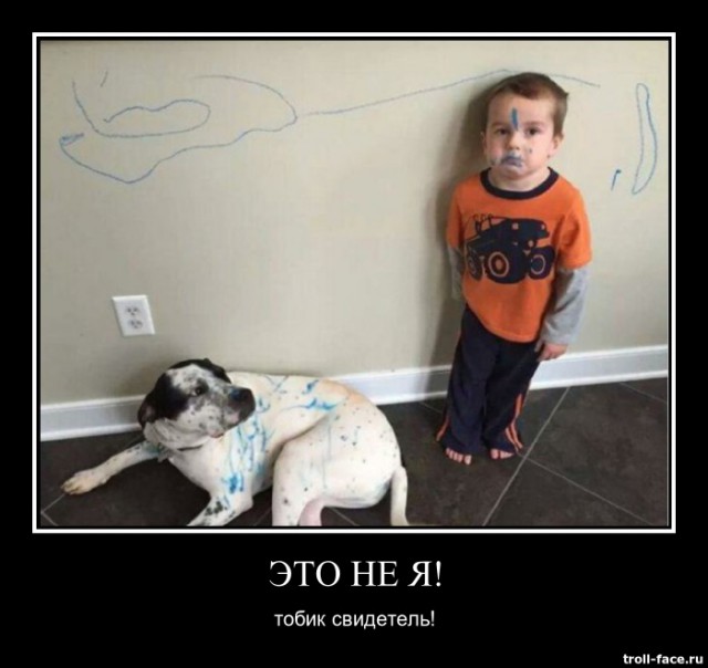 С ними не соскучишься.