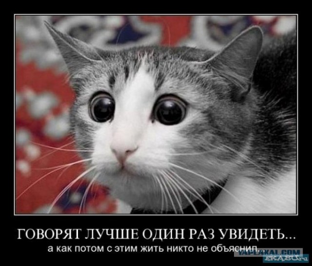Бес в ребро