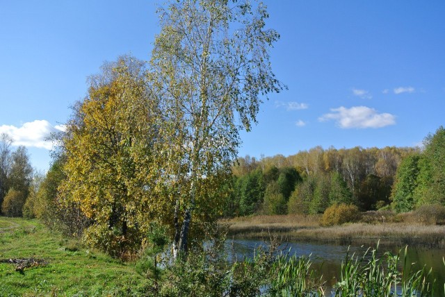 Золотая осень