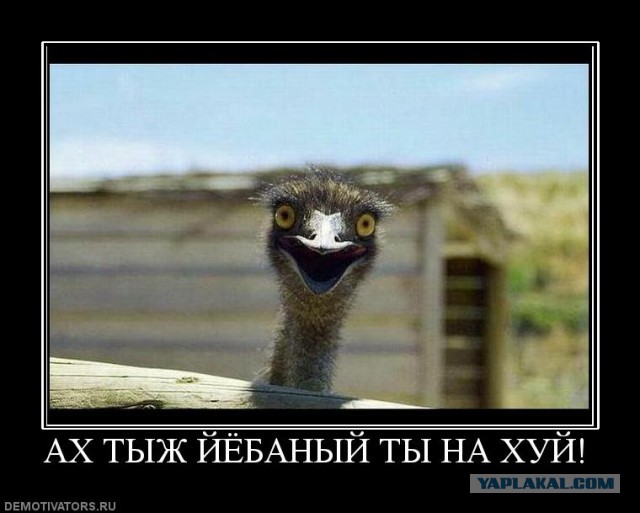 Одна из пяти королев парада в Рио