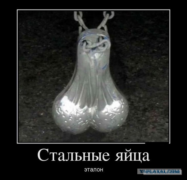 170 км/ч в костюме-крыле над самой землей!
