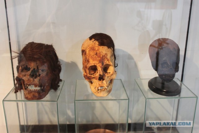 Отчет о путешествии в  Перу