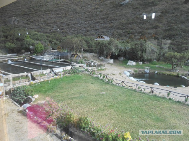 Рыбная ферма. Эквадор