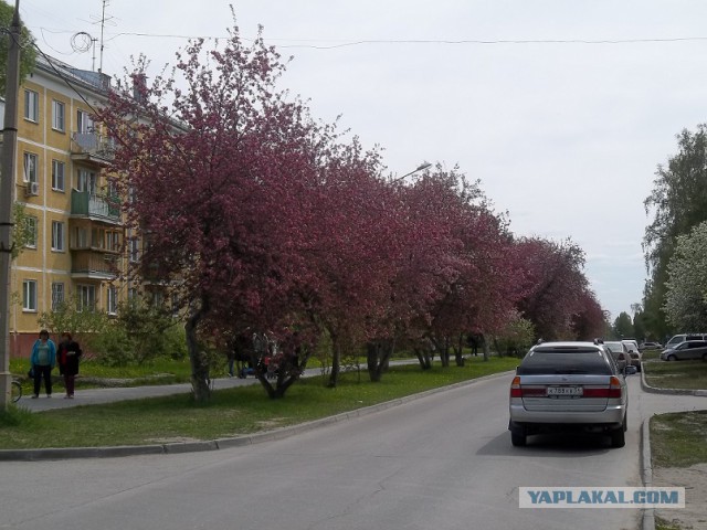 Россия
