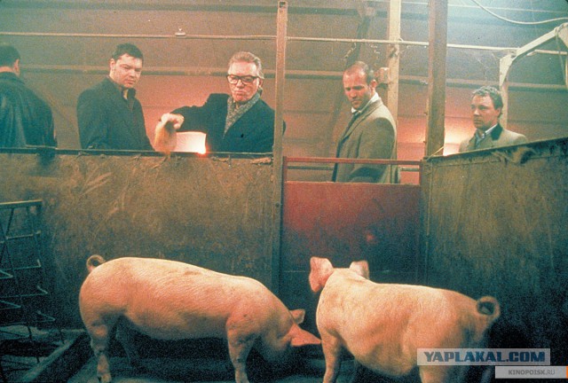 В Обнинске задержали расчленителя