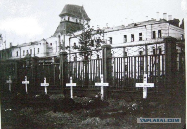 10 ударов 1944 года. 3 часть.