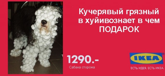 Фотожаба: Кучерявый подарок
