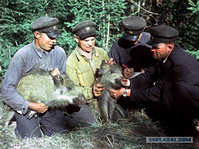 Эхо Прошлого. Часть 5