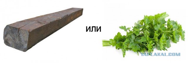 Шикарное фото в инстаграм, но что то тут не так
