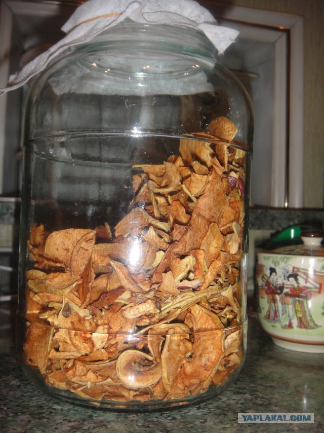 Про "хобби" родителей - пенсионеров