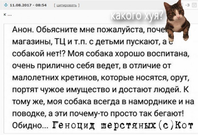 Смешные комментарии из социальных сетей 11.08.2017