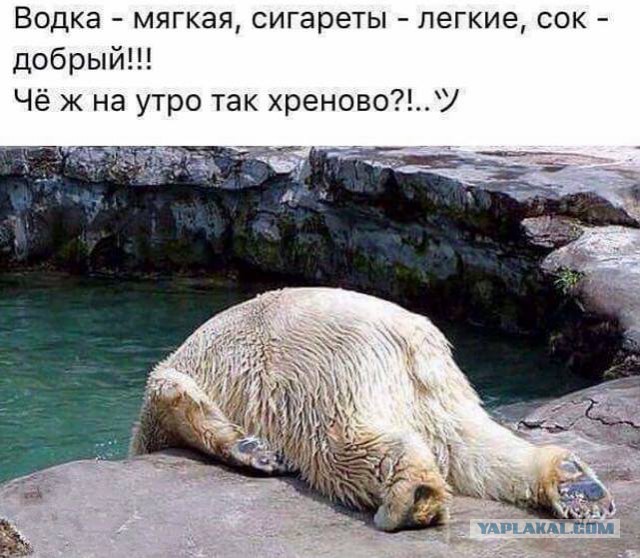 Смешные комментарии из социальных сетей 01.09.2017