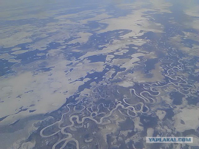 Болота в Ленинградской области