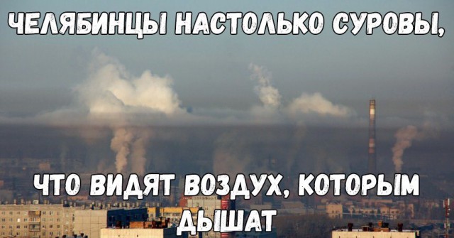 Скотсети и прочие интернеты
