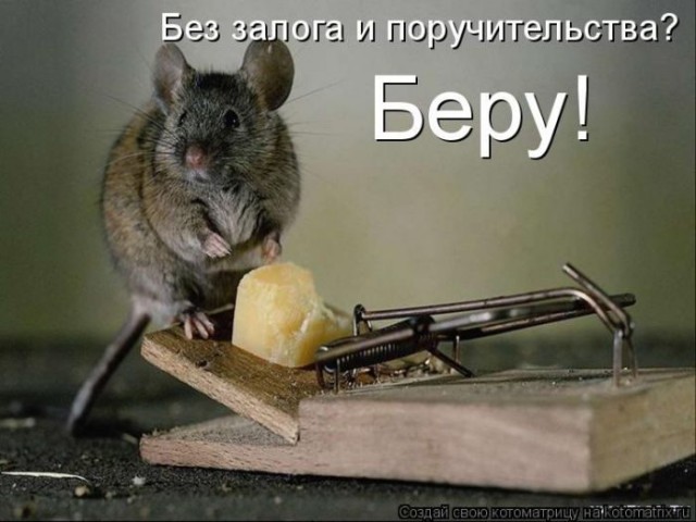 Мышка-НАРУЖКА