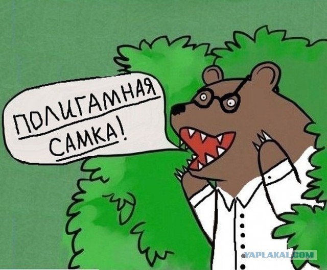 Сударыням на заметку. Танцуем восточные танцы.