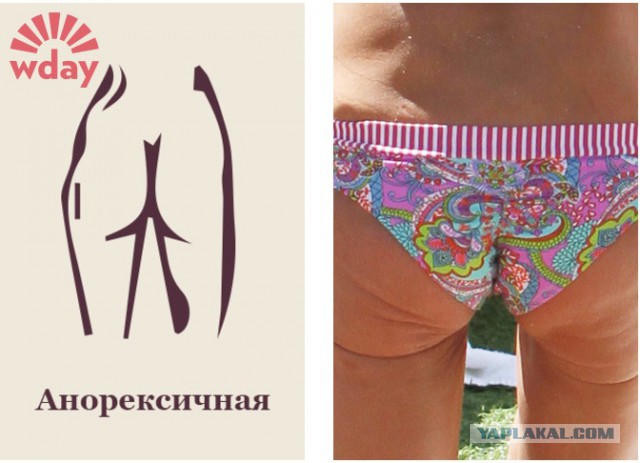 Женский характер в зависимости от формы груди