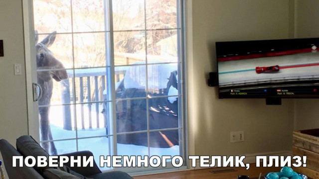 Нестандартный юмор