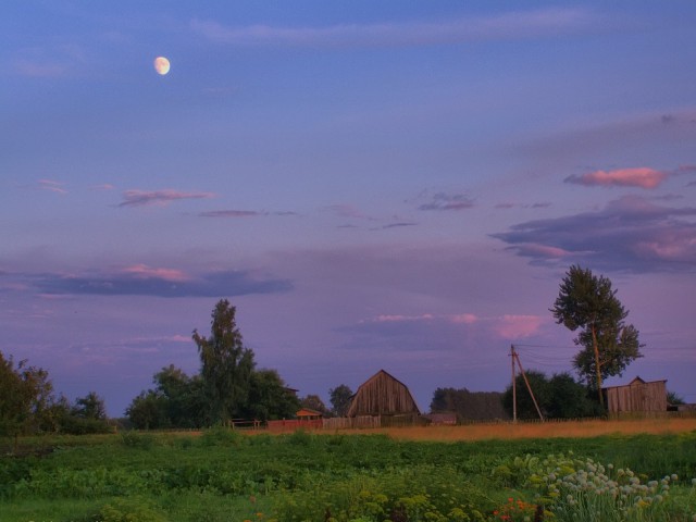Летом в деревне