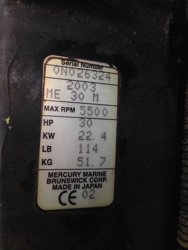 Помогите оценить Лодочный мотор Mercury 30M