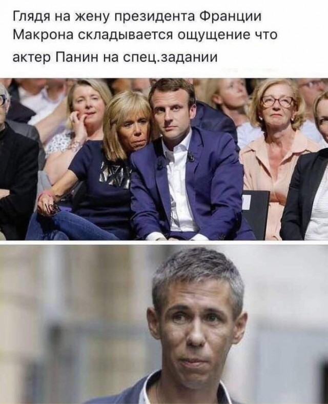 Лента прикольных картинок