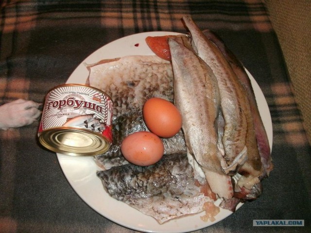 Кулинарная общалка