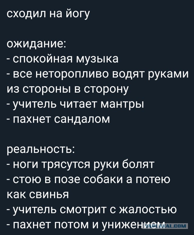 Картинки с надписями, истории и анекдоты 02.11.19