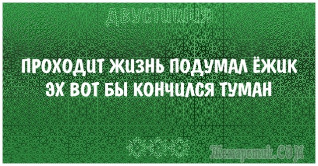 Двустишия на поржать