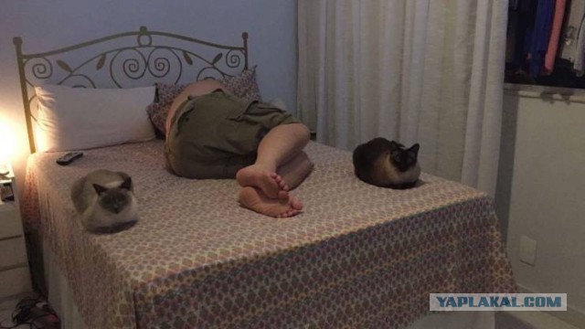 Чуток картинок 08.11.19
