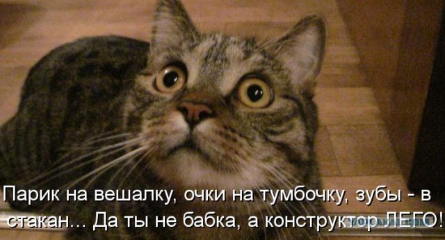 А банка в комплекте?