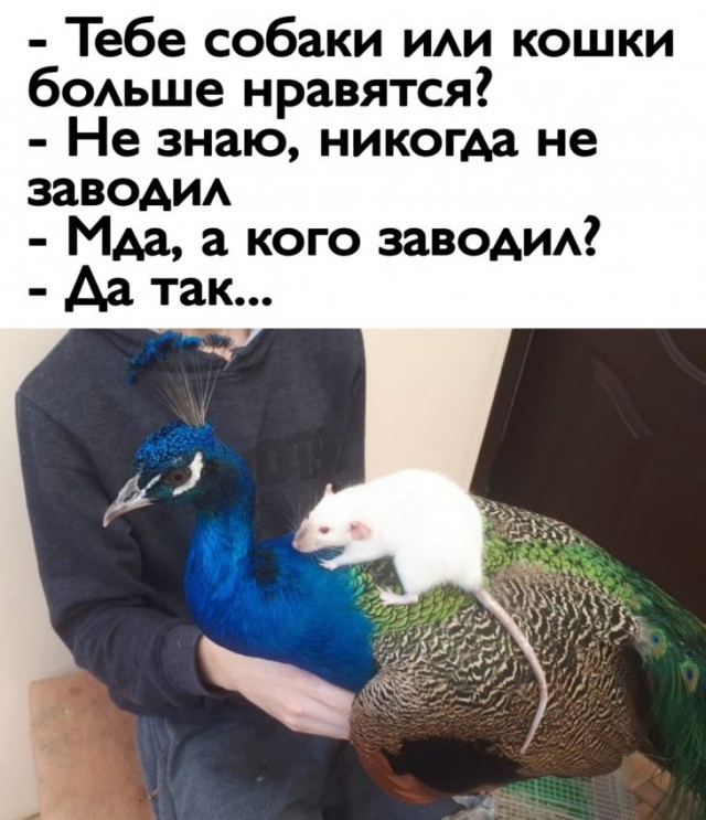 Немного картинок для настроения 11.03.20