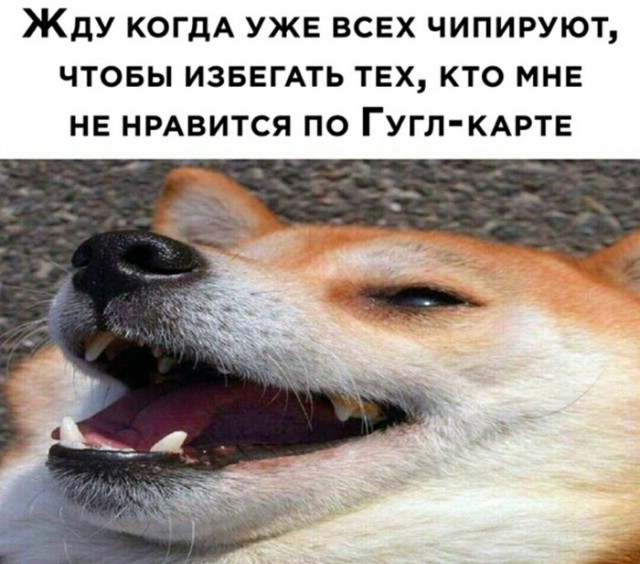 Давно не было солянки из картинок