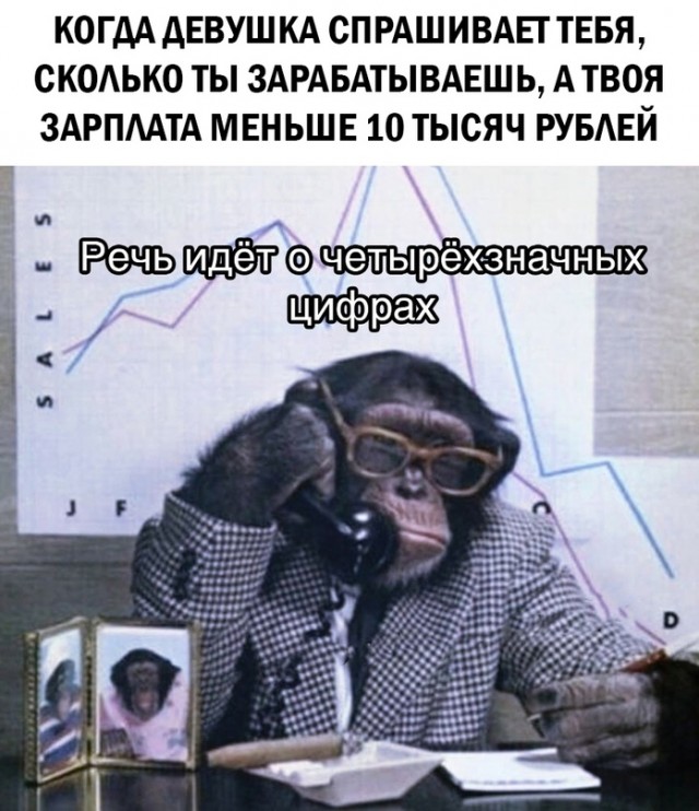 Весёлый полтишок 19.04