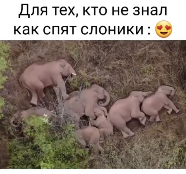 Прикольные и просто красивые картинки 22.06.2021