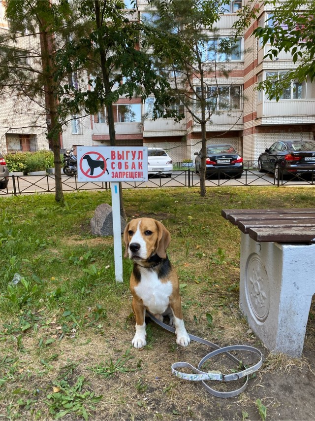Парень который всегда рядом