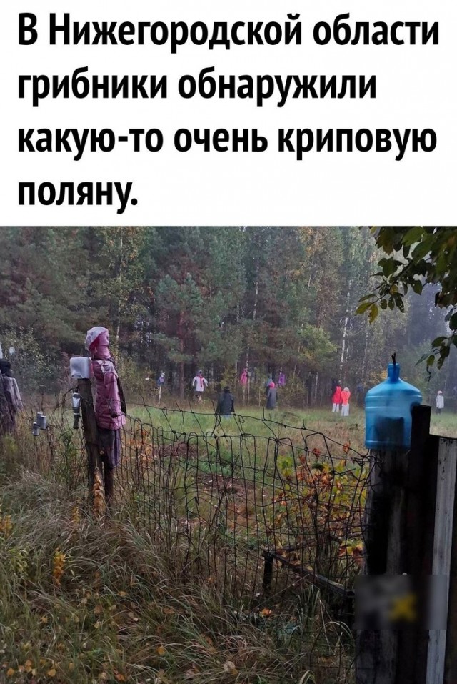 Здесь будет Петербург