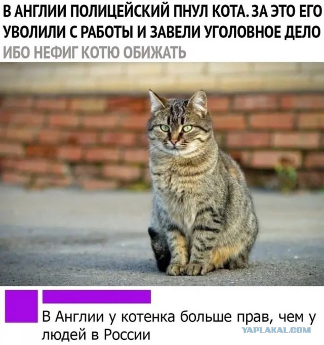 Дед дело говорит