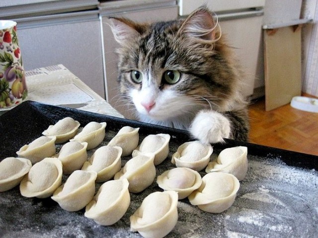 Какая чудовищная наглость.