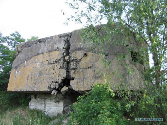 Форты Бреста