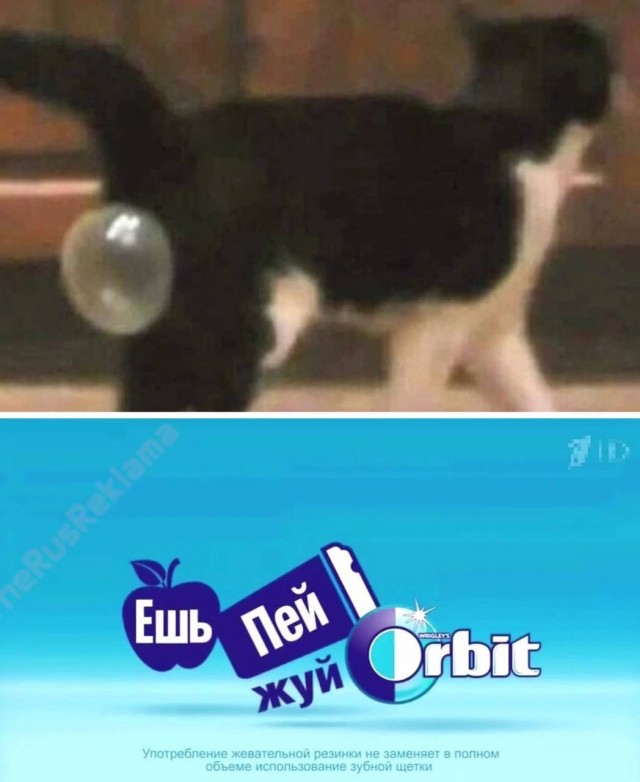 Картинки аморальные и всякие разные - 20