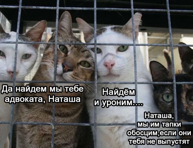 Так себе картинки 07.02.22