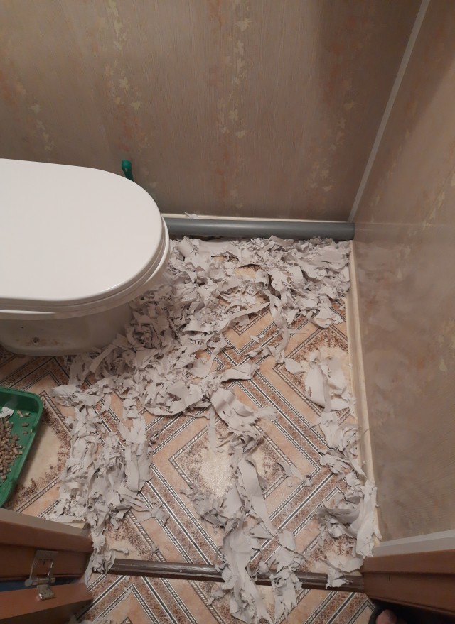 Вы ничего не докажете