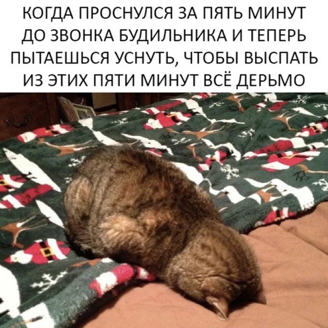 Весёлый полтишок 11.04.22