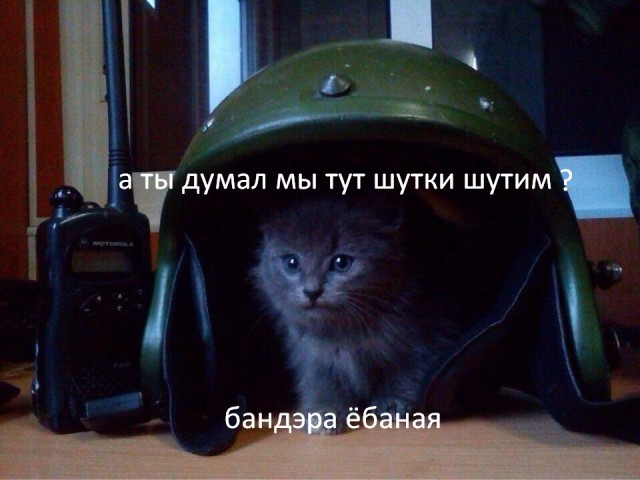 Срочное заявление Межведомственного координационного штаба Российской Федерации по гуманитарному реагированию на Украине