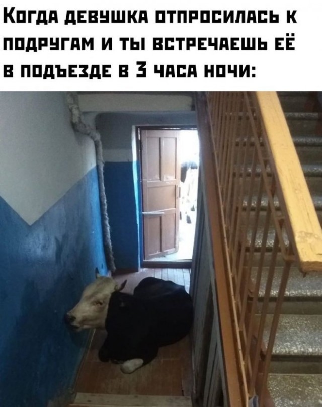 50 оттенков серого. Vol.4  Или самосвал баянов