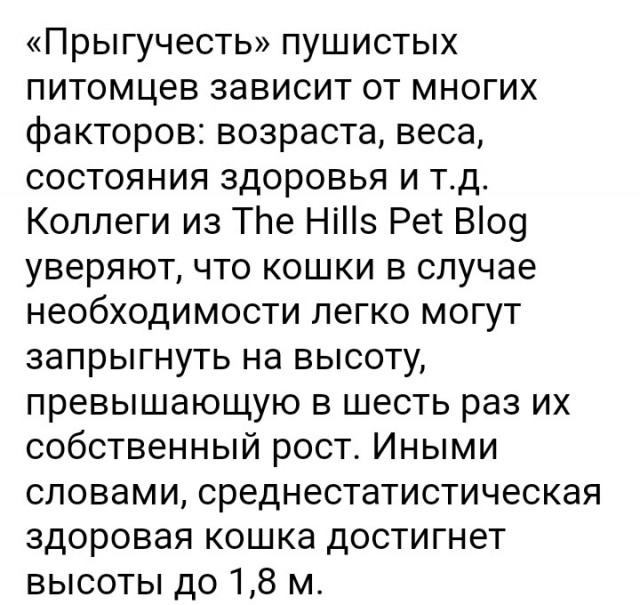 Девушкам пофиг на секс? Миф!