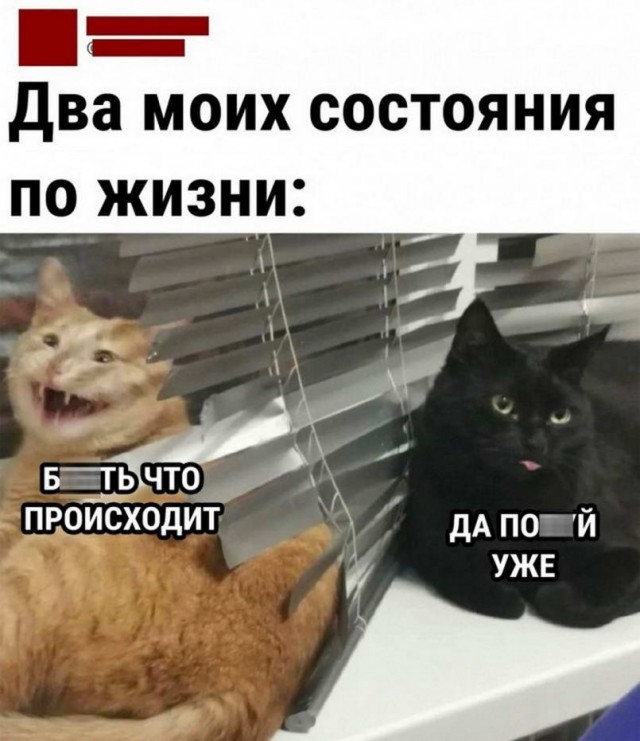 Юмор из Сети 20.06.22
