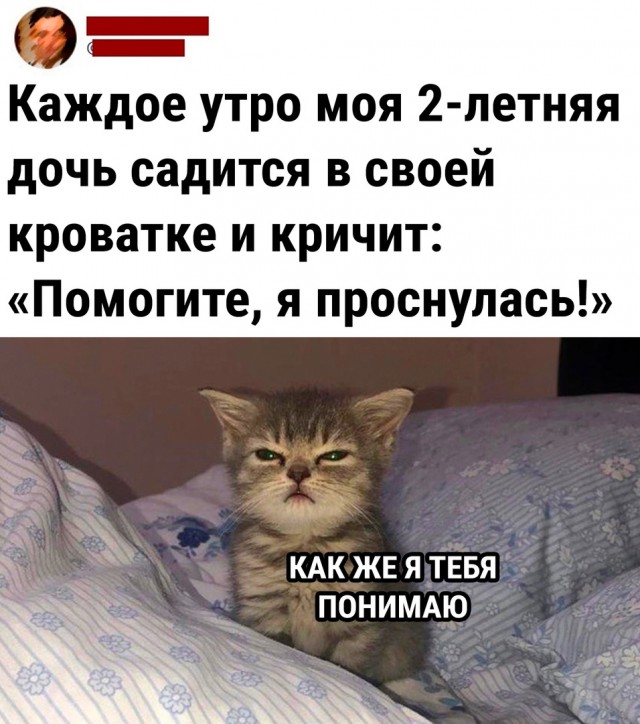Так себе картинки 05.07.22